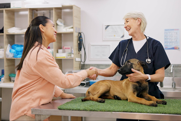 Why Preventative Care for Your Pet Is Essential for a Long, Healthy Life